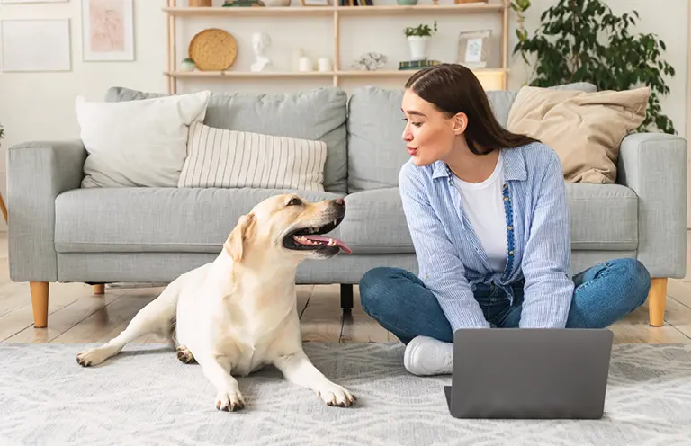 Frau sitzt mit Laptop auf dem Teppich vor grauem Sofa, ihr Hund liegt daneben – gemütliches Wohnzimmer mit Homeoffice-Flair, ideal für kleine Wohnungen mit Haustieren.